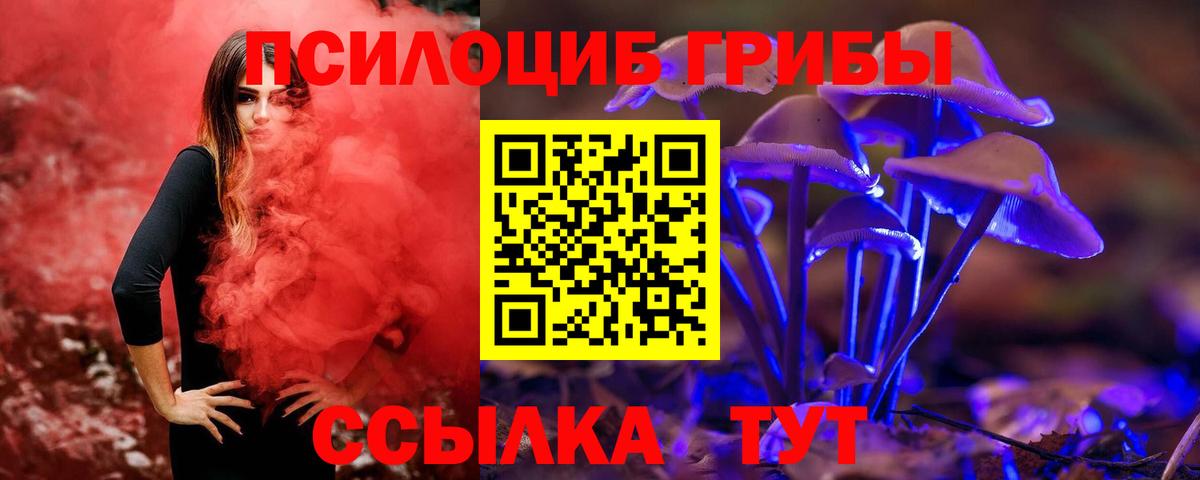 Псилоцибиновые грибы мухоморы Сорочинск